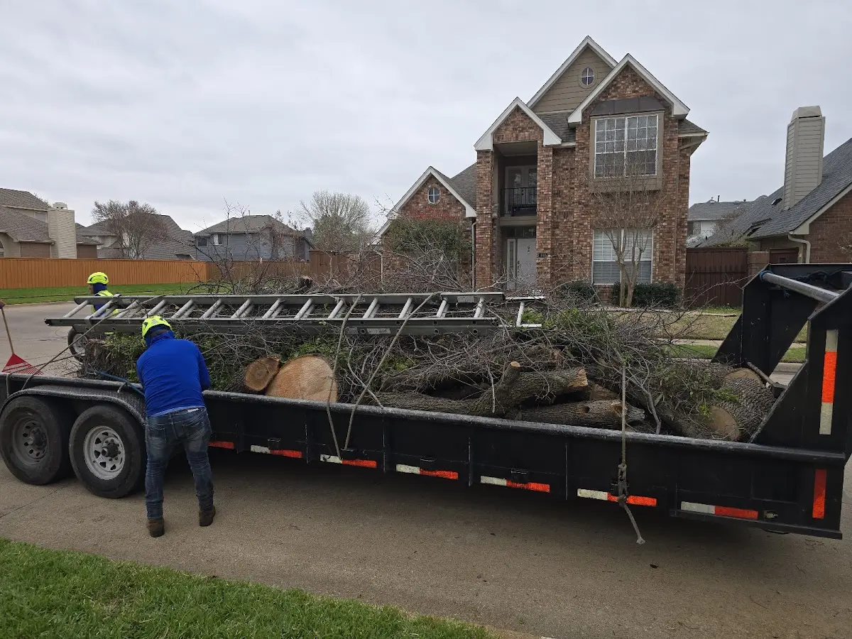 Expert Tree Fertilization with proper safety equipment in Wauconda